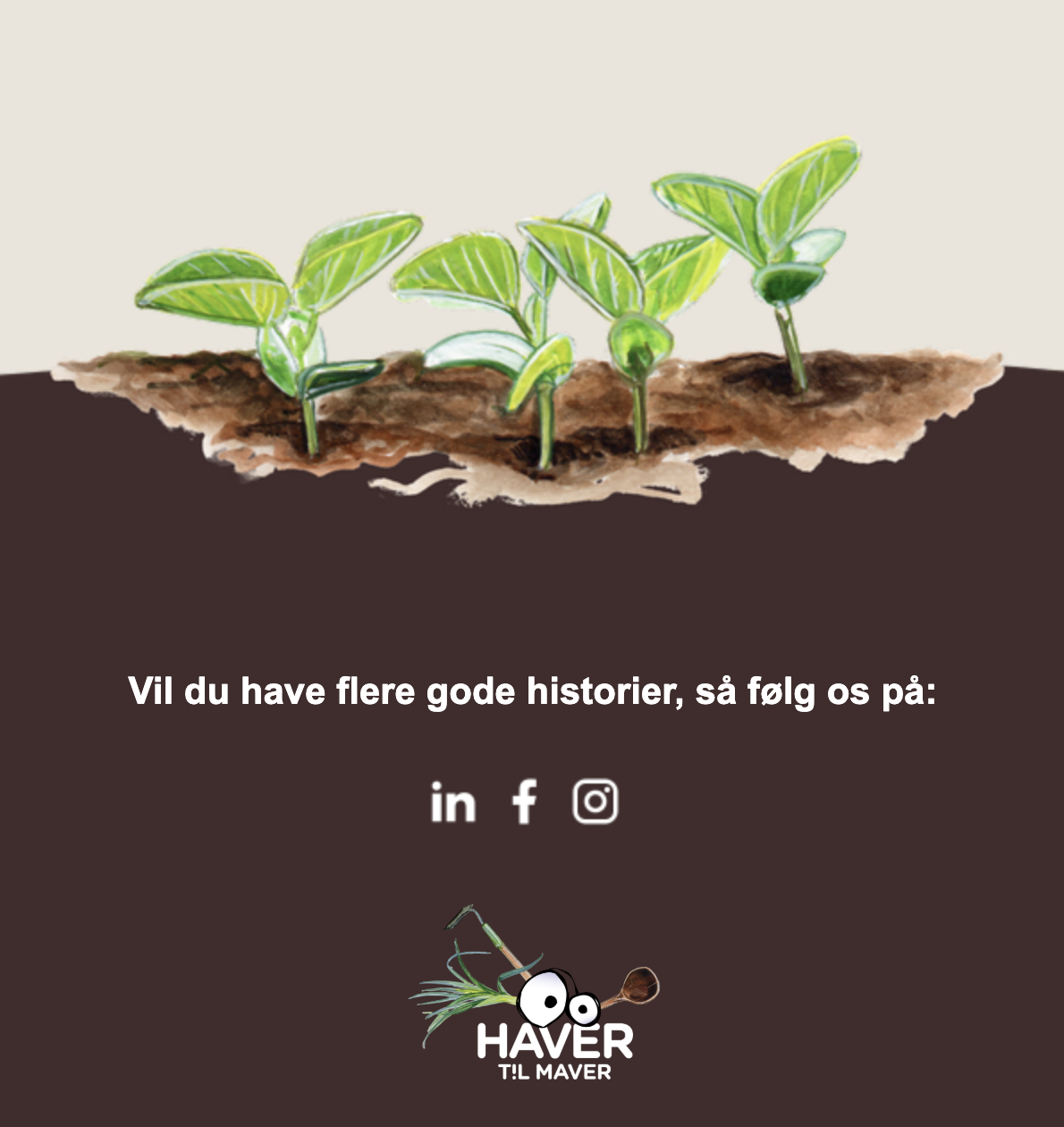 Skærmbillede 2026-02-20 kl. 11.27.24